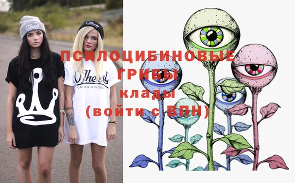 твердый Пестово