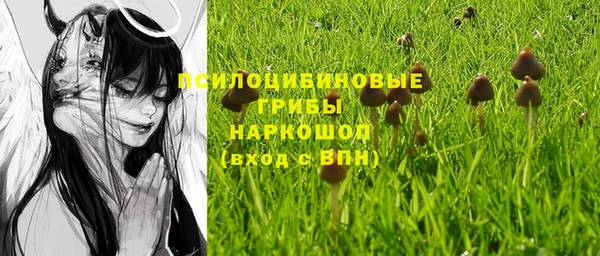 мяу мяу мука Балабаново