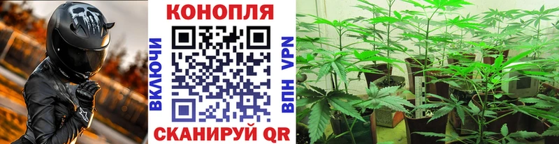 Конопля тримм Феодосия